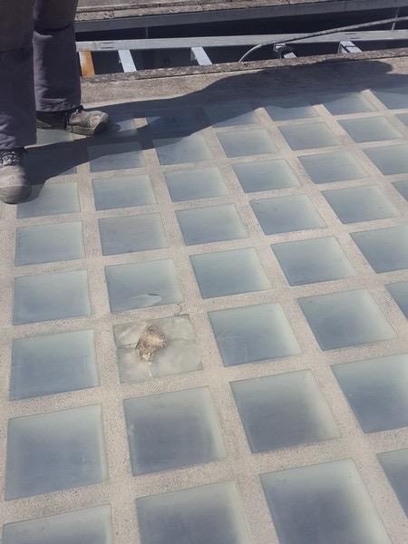 Auftrag der Imprägnierung auf eine Betondecke mit Glasbausteinen