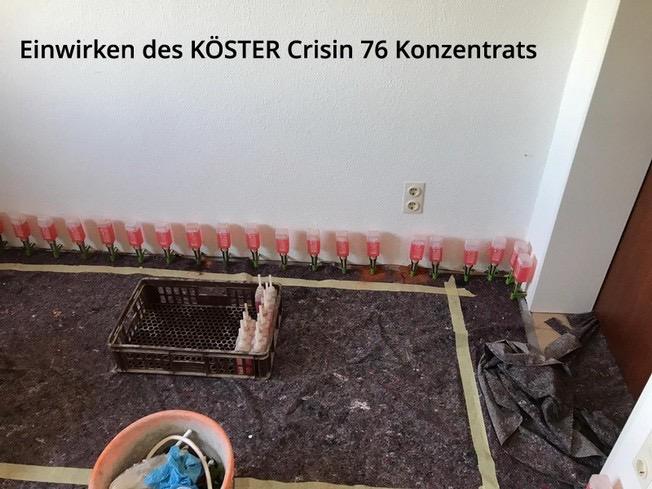 Einwirken des Injektionsmittels in der Bohrlochreihe